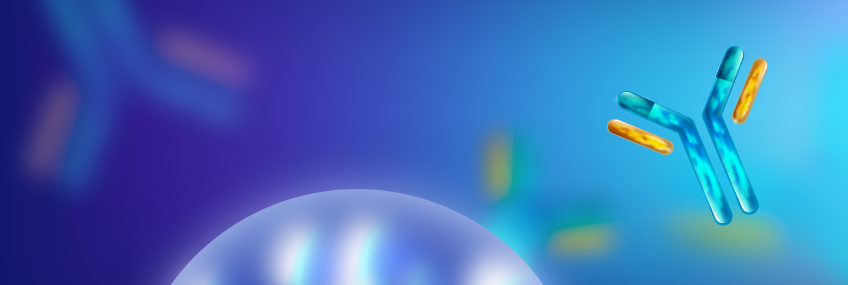 Trang chủ 2025 _ banner trang mục 10.jpg