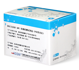 Bộ dụng cụ xét nghiệm axit nucleic của Mycoplasma pneumoniae (MP) (phương pháp PCR phát quang)